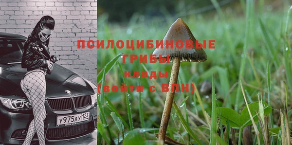 jwh Алзамай
