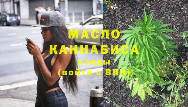 стаф Каменногорск