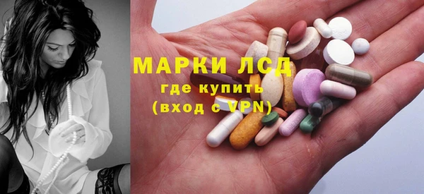 спайс Каменка
